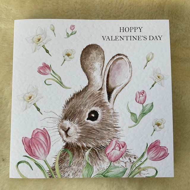 💖🐰Bunderful Valentines Day ideas🐰💖 - mailchi.mp/25a32a530992/v…