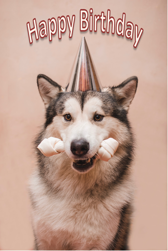 VolcanicMotion's tweet photo. If you want to wish your friend’s birthday, this is what you need.

#happybirthday #electronicbirthdaycard #birthdaycard #celebration #cat #dog #pet

Visit here: https://t.co/e5ddCS4pKo https://t.co/3JXX58J2EK