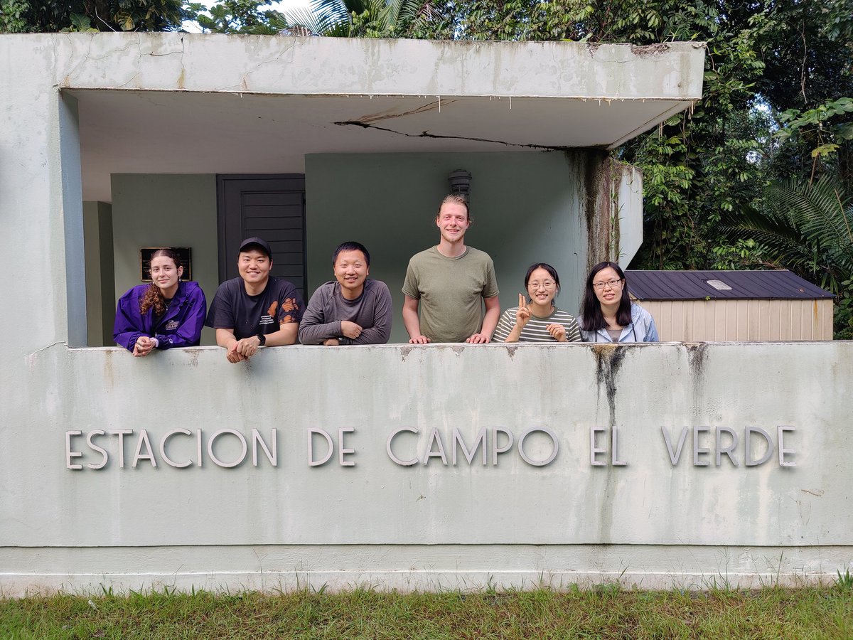 XiangtaoXu tweet media