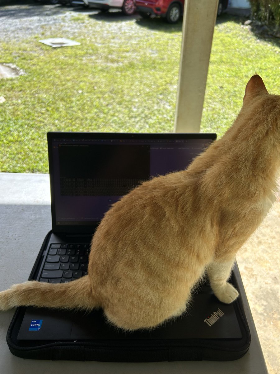 XiangtaoXu (@xiangtaox) on Twitter photo Last day of fieldwork in the beautiful Puerto Rico. Gone through a 2500mm rainfall gradient from Luquillo to Guanica; set up GPS sensors to measure canopy water; and got a new 🐈 field technician with an amazing team! @geoxiyang <a href="/CoraldelMarVR/">Coral del Mar Valle Rodríguez</a> <a href="/RongLi__/">Rong Li</a> <a href="/kinznice/">Jongmin Kim</a> and many more Last day of fieldwork in the beautiful Puerto Rico. Gone through a 2500mm rainfall gradient from Luquillo to Guanica; set up GPS sensors to measure canopy water; and got a new 🐈 field technician with an amazing team! @geoxiyang <a href="/CoraldelMarVR/">Coral del Mar Valle Rodríguez</a> <a href="/RongLi__/">Rong Li</a> <a href="/kinznice/">Jongmin Kim</a> and many more