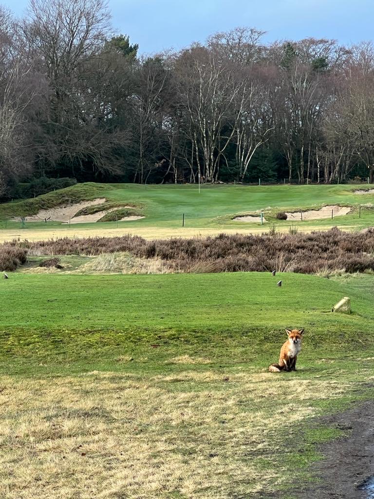 Patrick Brady tweet media