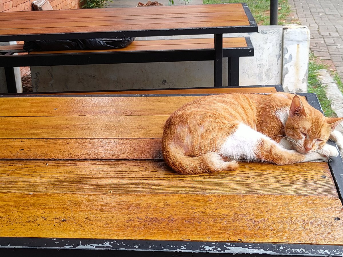 =) (@keniswa) on Twitter photo 