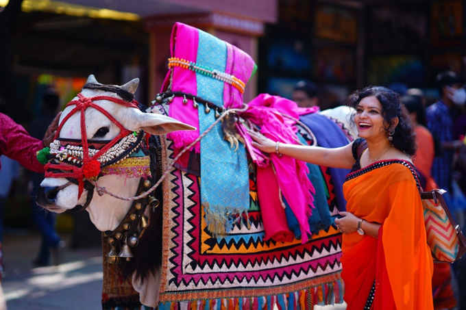 eenadulivenews's tweet image. శిల్పారామంలో సంక్రాంతి వేడుకలు
మ‌రిన్ని చిత్రాల కోసం క్లిక్ చేయండి bit.ly/3WfVoWy
#Shilparamam #sankranti2023 #Photogallery #Telugunews