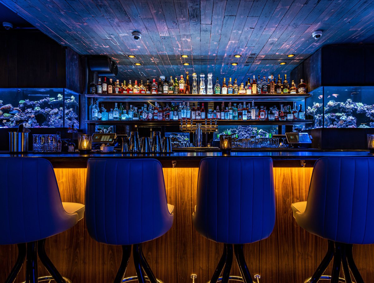 LostReefChicago's tweet photo. Get lost in opulence✨ #LostReef https://t.co/WgtqZleLnE
