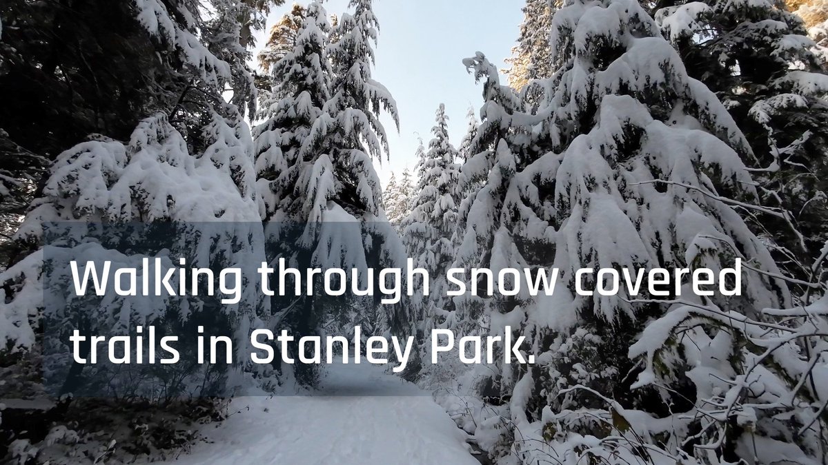 CityTrailWander's tweet photo. Walk through snow-covered trails in Stanley Park starting at Tatlow Walk: 📺 https://t.co/zqoD30Dal4. #stanleypark #vancouver #winter #winterwonderland #snow #snowday #snowtrees #walkingvideos #youtube https://t.co/M13Pi2NCyi