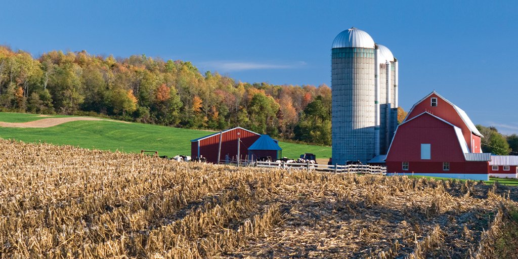 Join producers across Canada taking the 🆓, online Foundations in Agricultural Management course to gain the knowledge and confidence to make better informed decisions for your operation.  

The winter cohort is currently open: guelphagriculturalmanagement.com

<a href="/RBC/">RBC</a> <a href="/UofGuelphOAC/">Ontario Agricultural College</a>