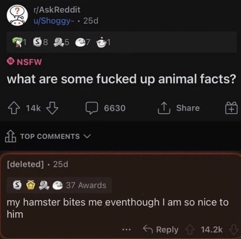 internet hall of fame (@interneth0f) on Twitter photo 