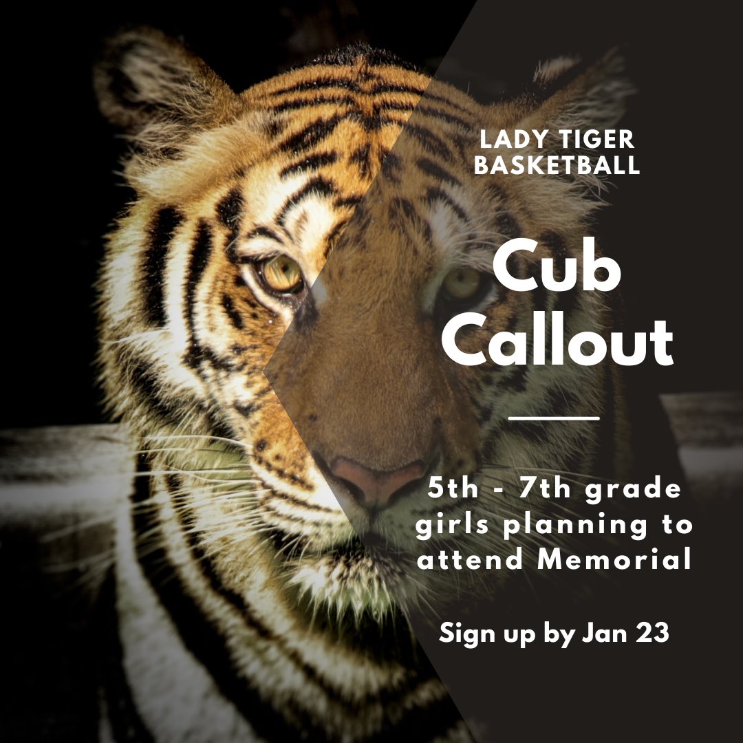 ‼️Calling all future Lady Tigers‼️Use the link below to sign up for cub basketball.👇Practices will start in late January, and the girls will play in two weekend tournaments in Feb and one in March. forms.gle/51byzxC14JUBSj…