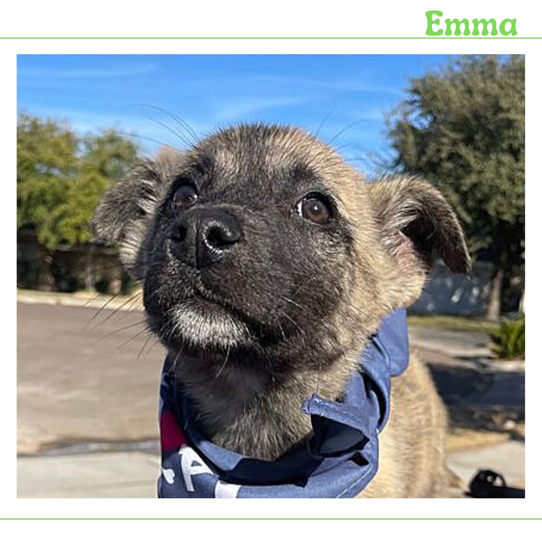Welcome to the CARE family Emma! 💚