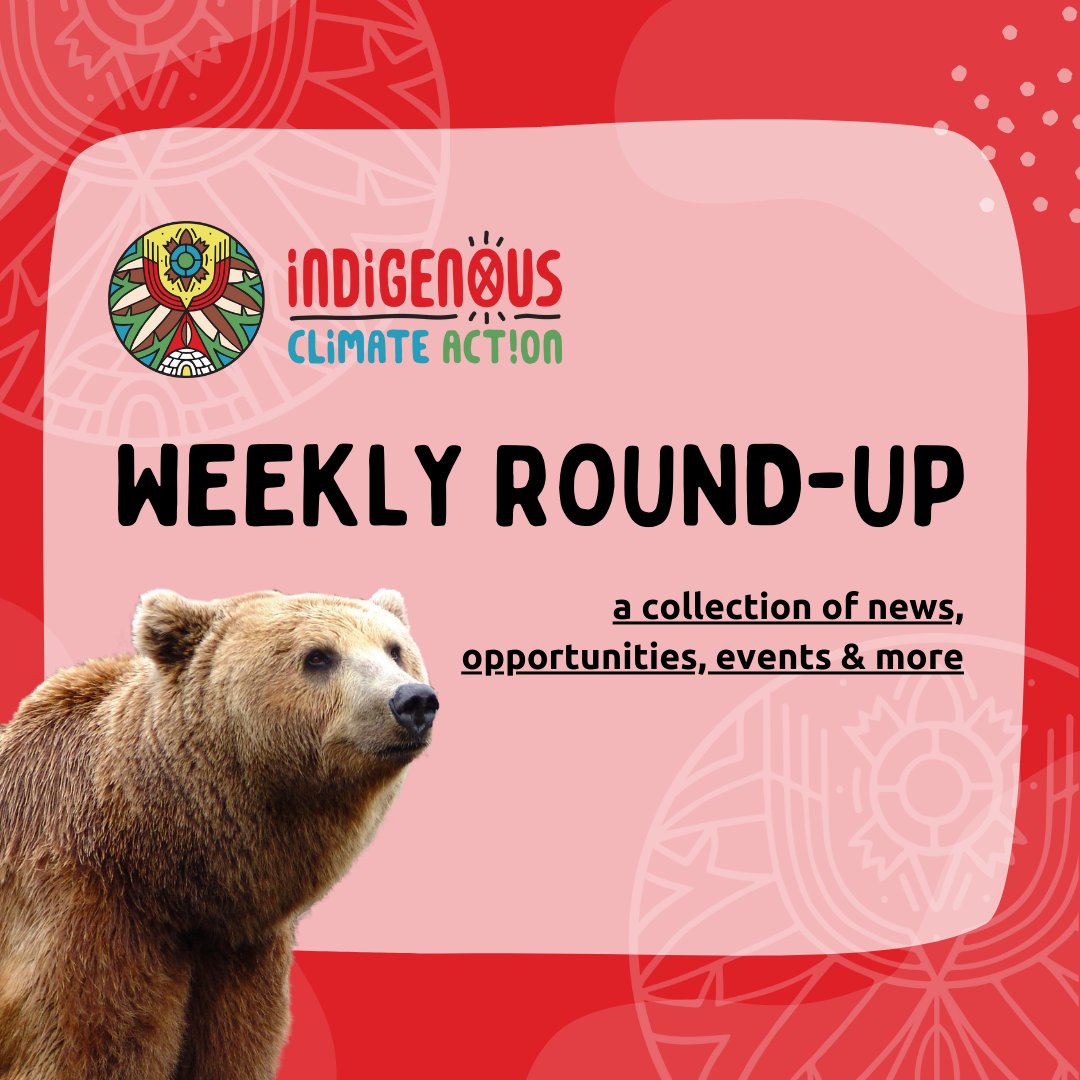 Weekly round-up time 🌿 Check out some great opportunities, upcoming training, and news from the last week at: indigenousclimateaction.com/entries/roundu…

#IndigenousNews #IndigenousCanada