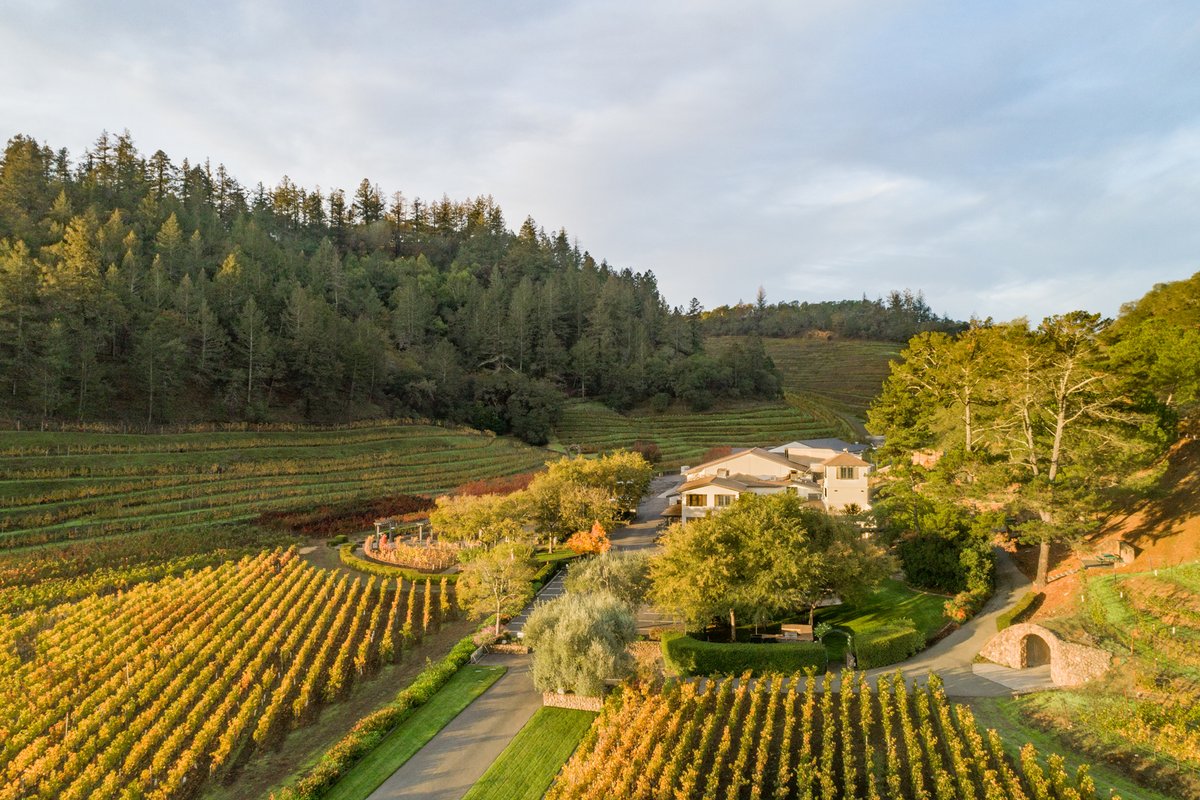 NapaTruffleFest's tweet photo. Today’s #NapaTruffleFest events allow guests to meet chefs, winemakers &amp; experts.

Whether you're joining the mushroom foray, winery-hosted lunch, or truffles &amp; wine dinner– it will be a day full of festivities! https://t.co/0dQHVdYpv8 #TruffleFest

2nd image: #PineRidgeVineyards https://t.co/JmTL7RLb4a
