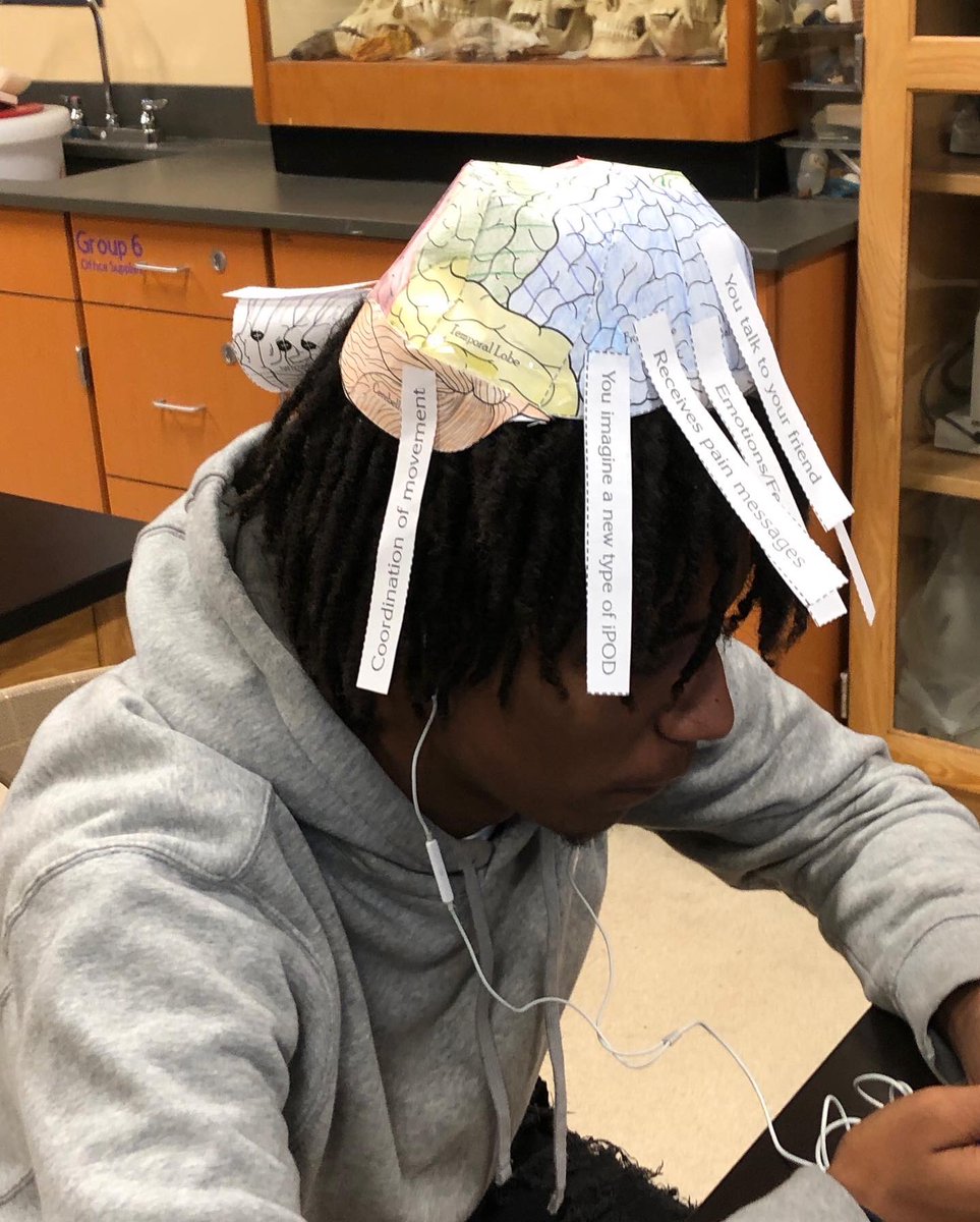 CPSHoward's tweet photo. Seniors demonstrating their brain knowledge. Juniors comparing different seeds inside and out! #zooacademyrocks #zooacademycps #iamcps #hughesstem https://t.co/51Nqo6ssjN