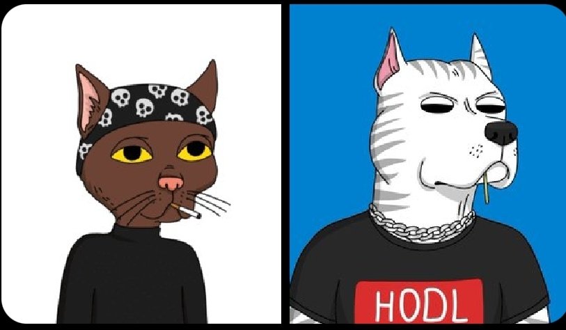 EvilAresHacker's tweet photo. @3482_eth @GutterCatGang #GangGang #GutterCatGang https://t.co/2D3SVqwtQ3