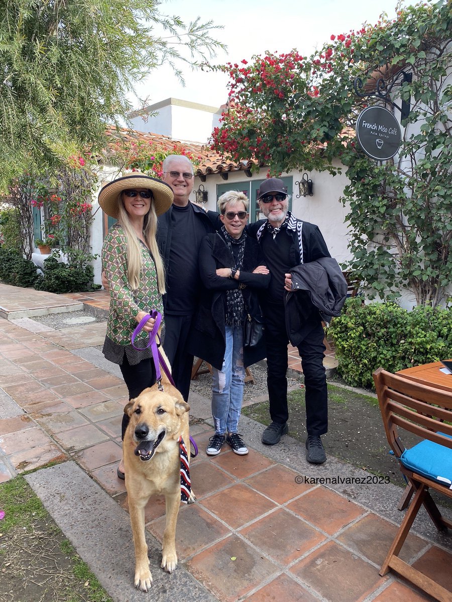 Paul Rodgers tweet media