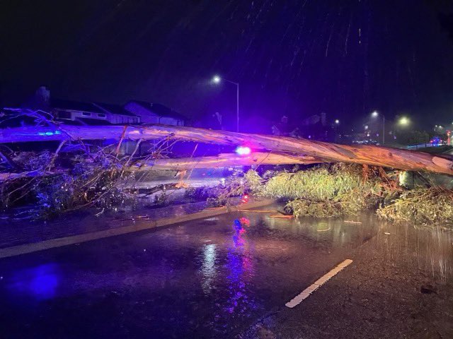 City of San Bruno (@cityofsanbruno) on Twitter photo Traffic alert: Tree fell on SB Ave @ Traeger. All 4 lanes blocked. No eta on clearing, please use alternative route.
Alerta de tráfico: Árbol cayó en SB Ave @ Traeger. Los 4 carriles bloqueados. No hay demora en despejar, use una ruta alternativa.
<a href="/SanBrunoPolice/">San Bruno Police</a> <a href="/SanBrunoFD/">SanBrunoFireDept</a> Traffic alert: Tree fell on SB Ave @ Traeger. All 4 lanes blocked. No eta on clearing, please use alternative route.
Alerta de tráfico: Árbol cayó en SB Ave @ Traeger. Los 4 carriles bloqueados. No hay demora en despejar, use una ruta alternativa.
<a href="/SanBrunoPolice/">San Bruno Police</a> <a href="/SanBrunoFD/">SanBrunoFireDept</a>