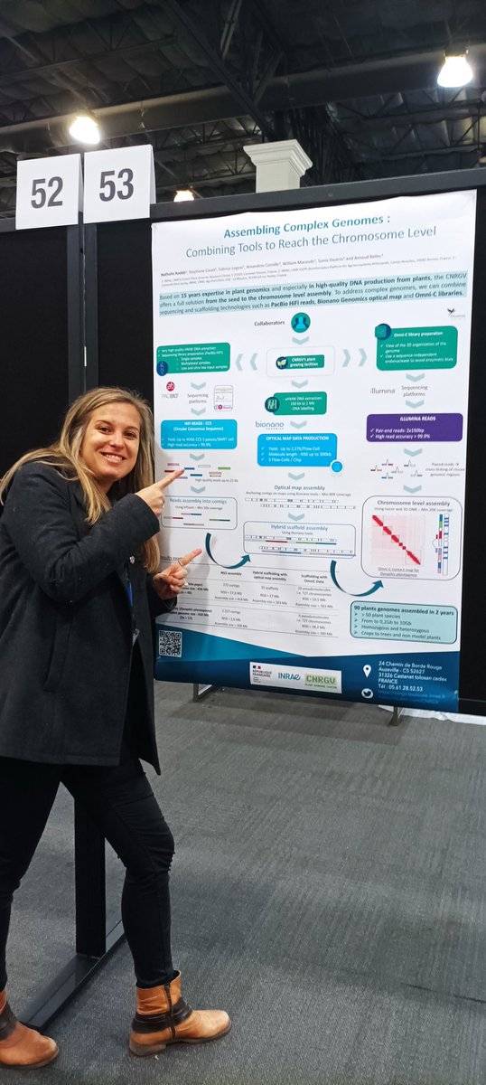 Come to see my poster describing how @CNRGV can help you to analyze complex genomes! Can't wait to discuss with future collaborators 😃 Poster session on monday at 3pm in the exhibit hall. #PAG30 #plantgenomics