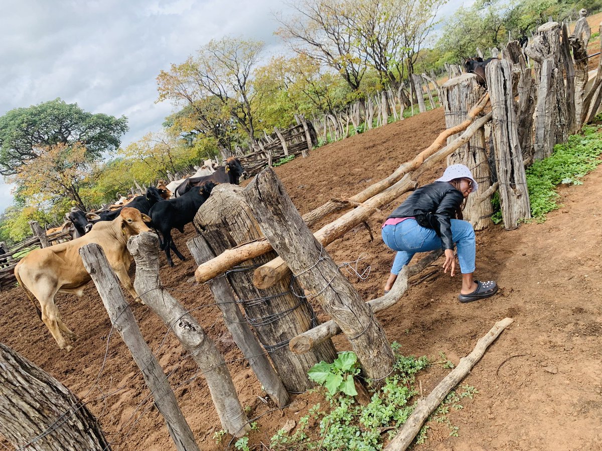 sasa_reetsang's tweet photo. 🤟🏾 https://t.co/8uHkw3LtjY