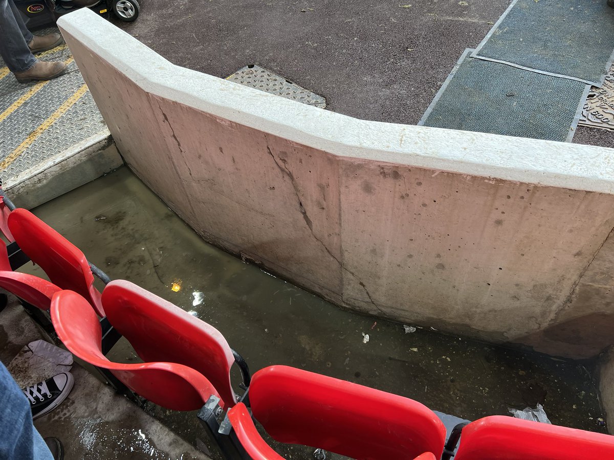 RishiMadlani's tweet photo. Forest (A) - come on you Foxes 🙏🏾💙🦊

(Foot spa optional in row AA) #NotLei https://t.co/V2XgGVWFfm