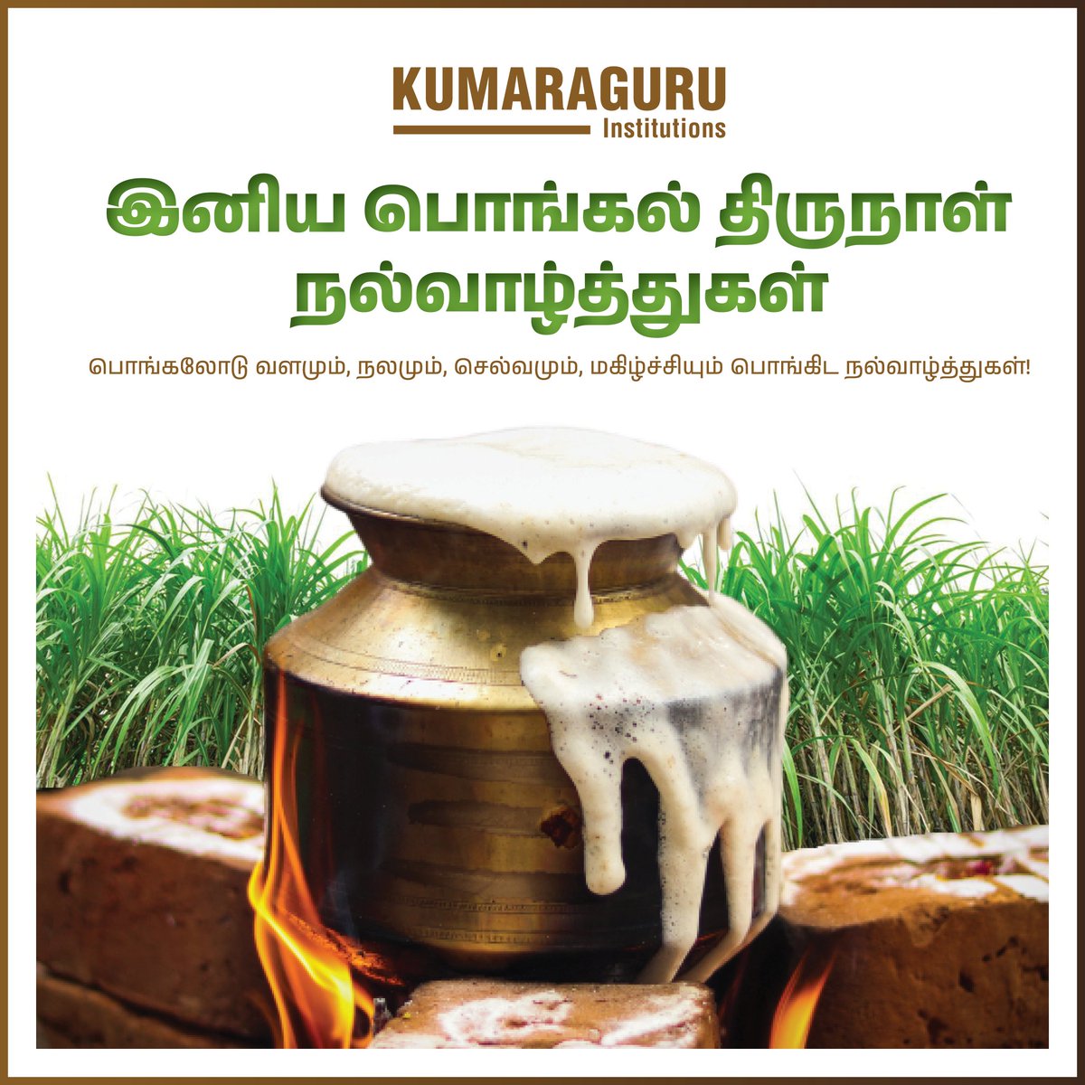 KCTOfficial's tweet photo. Pongalo Pongal! Let the warmth and joy of the harvest festival spread across everlasting happiness and prosperity. #kumaraguruinstitutions  wishes everyone a Happy #Pongal2023 https://t.co/AEV2W3C1WB