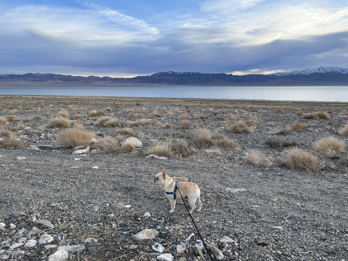 Manny (@mannywedges) on Twitter photo 