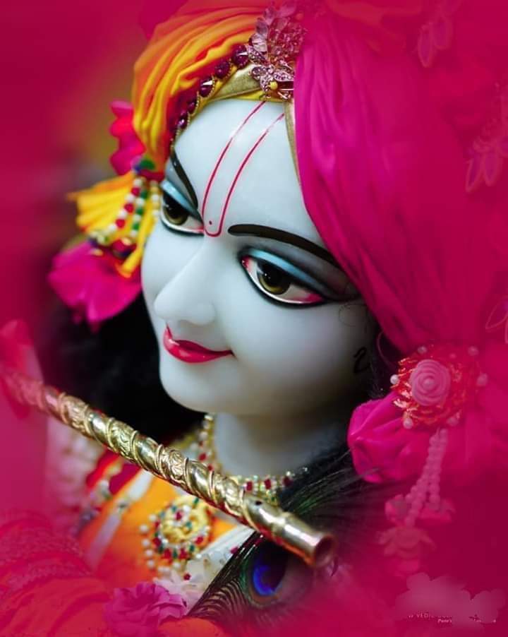 𝓥𝓲𝓳𝓪𝔂 𝓓𝓲𝓿𝓪𝓴𝓪𝓻..😎 tweet media