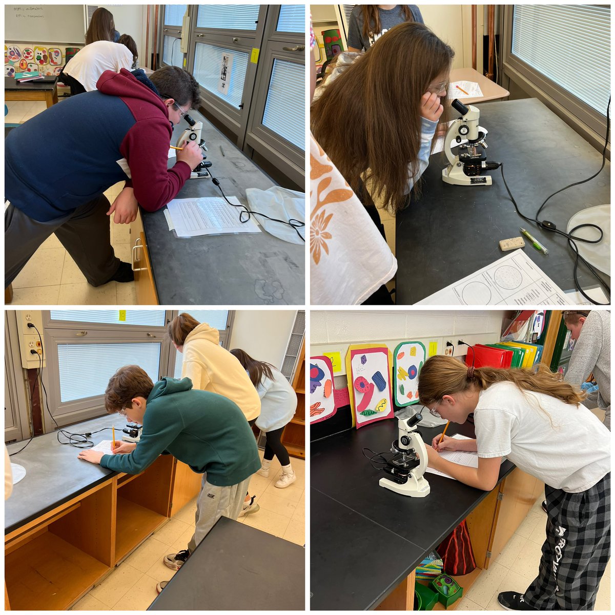Team 1 checking out some live samples under the microscope yesterday! <a href="/Team1Ems/">EMSTeam1</a> <a href="/WPSEisenhower/">Eisenhower Middle School</a>