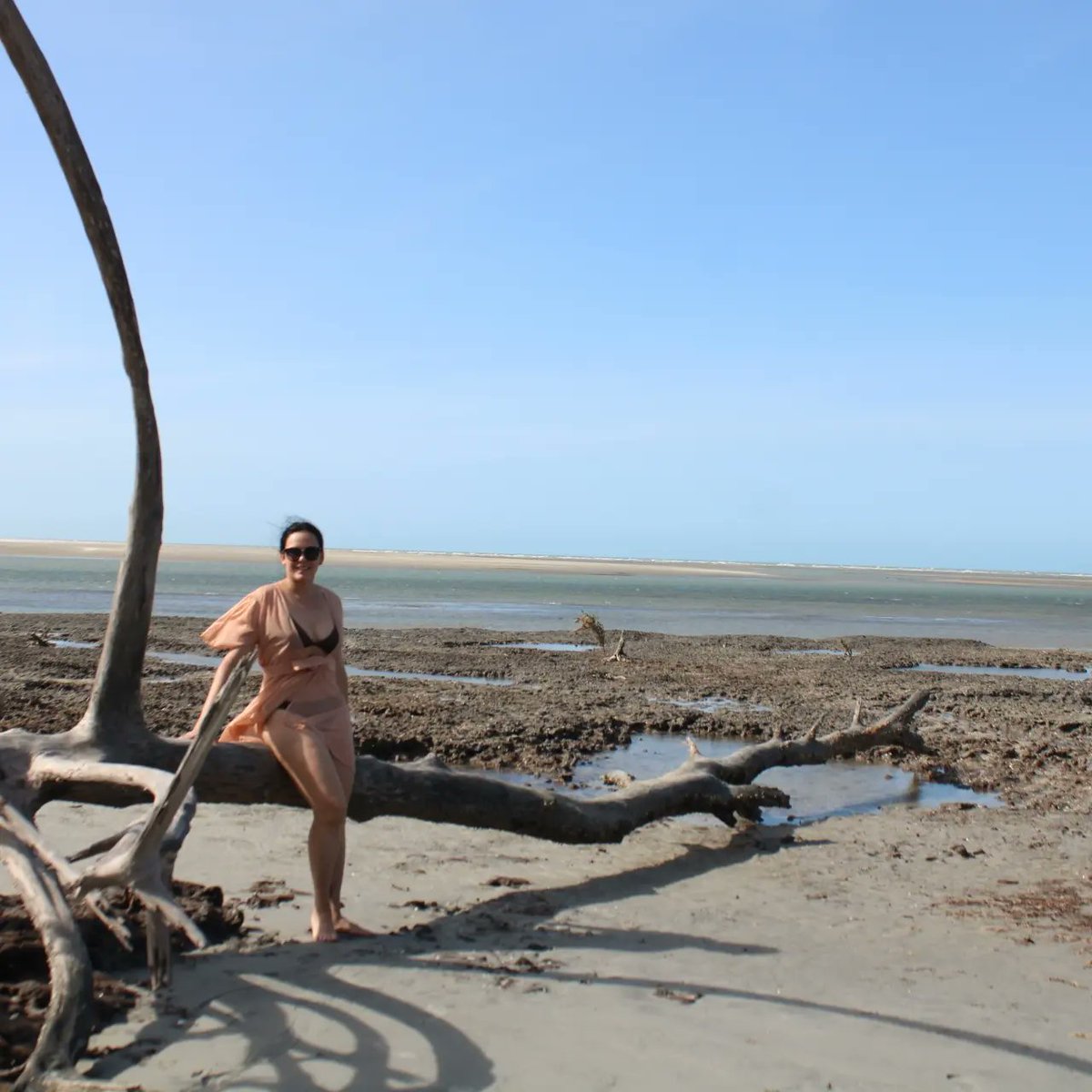 coldways_1's tweet photo. Arranhado estou, mas satisfeito! #NaturePhotography #nature #trip #jericoacoara @icmbio #visiteosparques https://t.co/RgNn8Se3rs