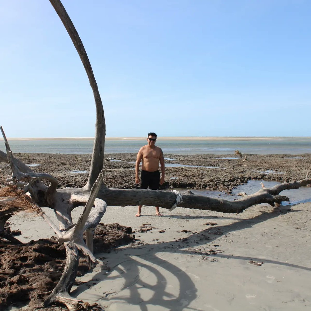 coldways_1's tweet photo. Arranhado estou, mas satisfeito! #NaturePhotography #nature #trip #jericoacoara @icmbio #visiteosparques https://t.co/RgNn8Se3rs
