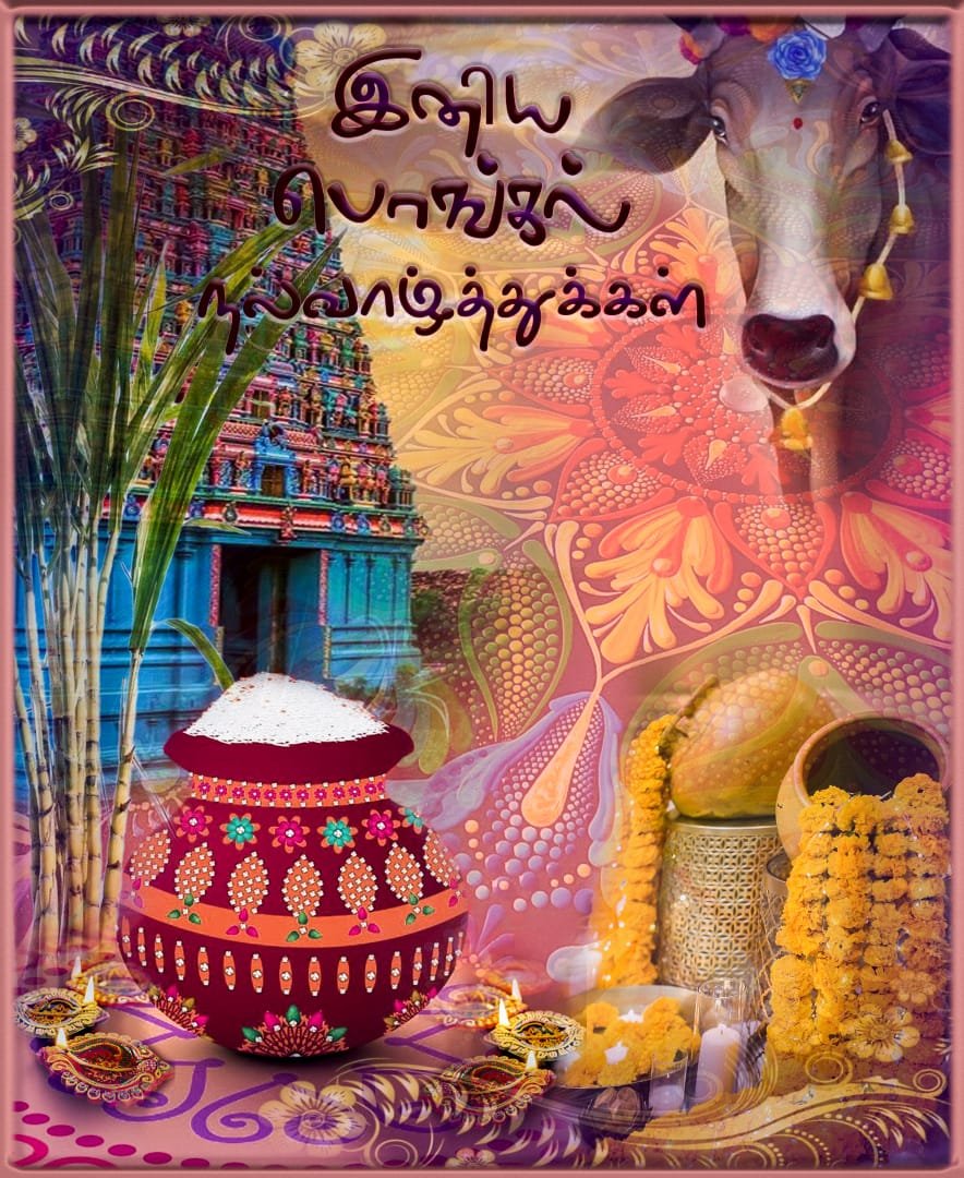 KMCORPSERVICES's tweet photo. We wishes a happy pongal to all our associates
#Pongal #pongalcelebration #Pongal2023 #pongalfestival #festival https://t.co/bTgTXdg7U9