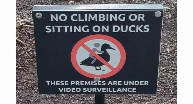 ????? 😲 I Have Some Questions After Reading These Signs – 21 Pics bit.ly/3Qnj9Lb