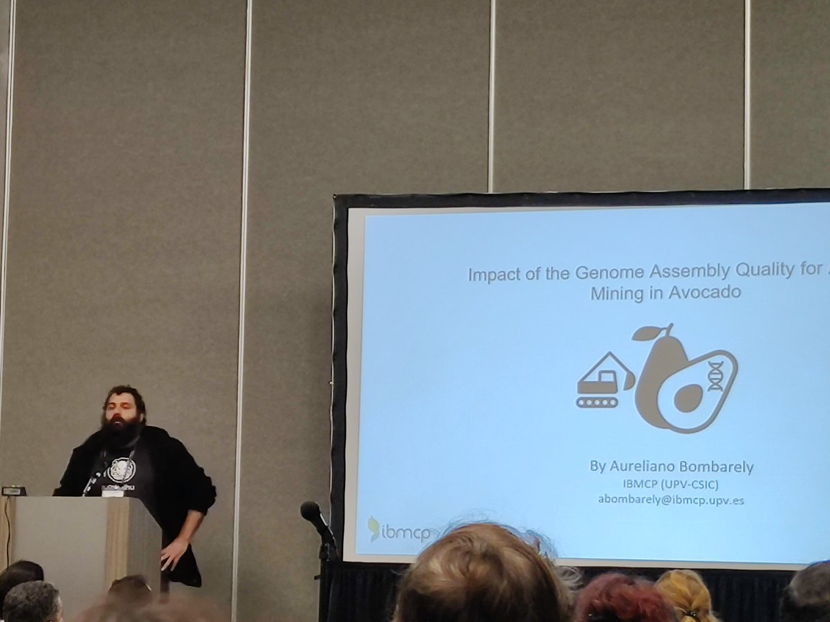 Lorenzo Barchi tweet media