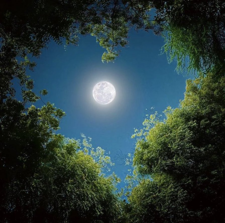 M1ONLOVER's tweet image. Share Moon photo from your gallery.