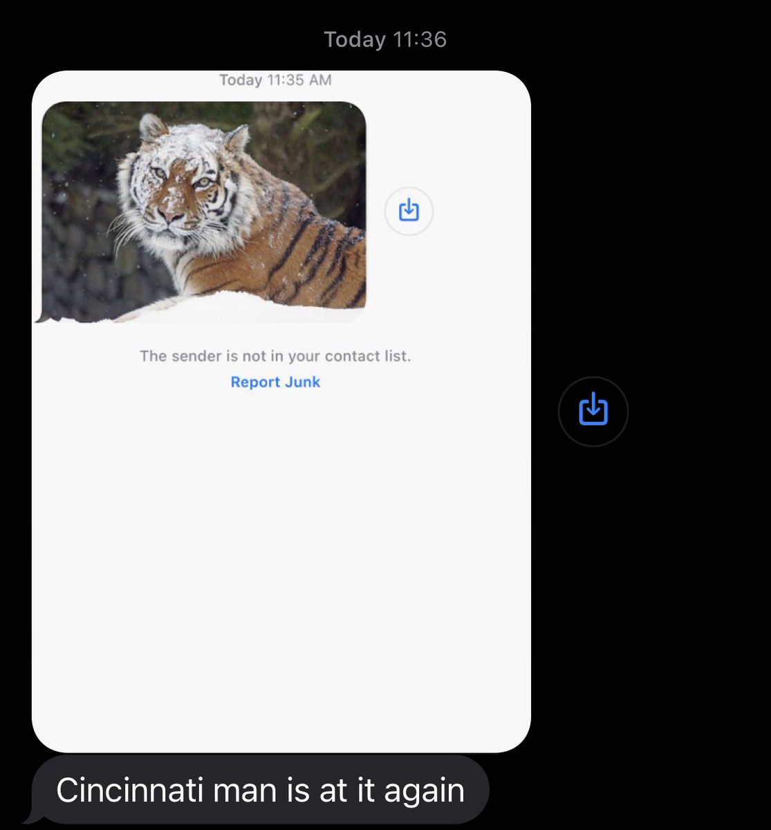 Ben_Baby's tweet photo. There is someone with a Cincinnati area code randomly spamming people with a Baltimore area code with pictures of Bengal tigers: https://t.co/28oQGXq4yP