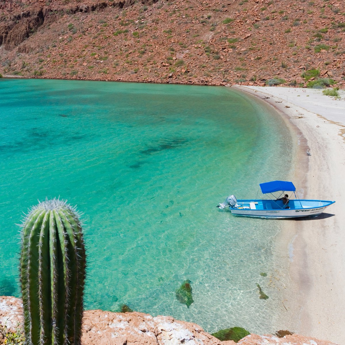 hackerparadise's tweet image. 🤩 We&apos;re #SAILING OUR WAY AROUND #BAJA! ⛵️

Close your laptop for a week &amp;amp; surrender yourself to an adventure-packed experience. Starry nights, desolate beaches &amp;amp; quaint Mexican villages — Learn more today: bit.ly/SailingBajaHP

*No sailing experience necessary

📸: Beth Cole