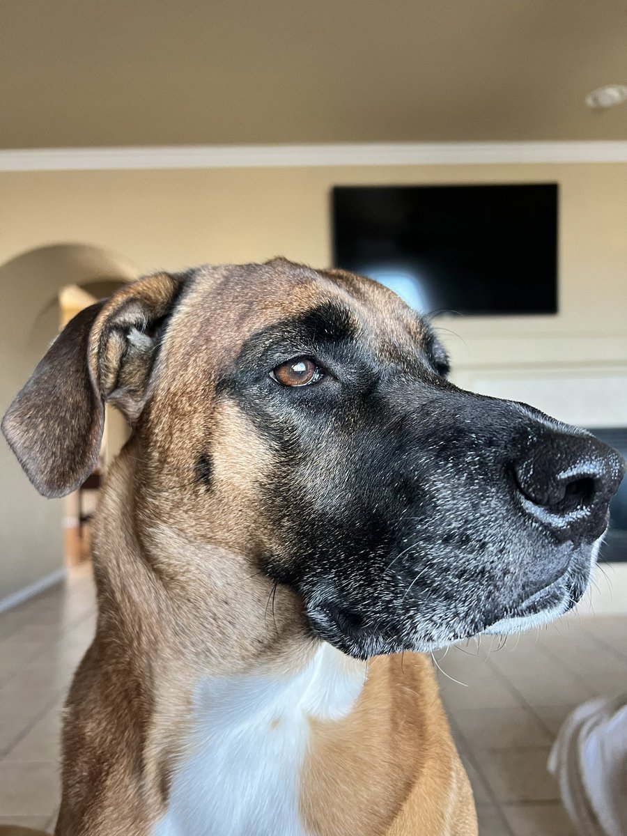 James Foster tweet media