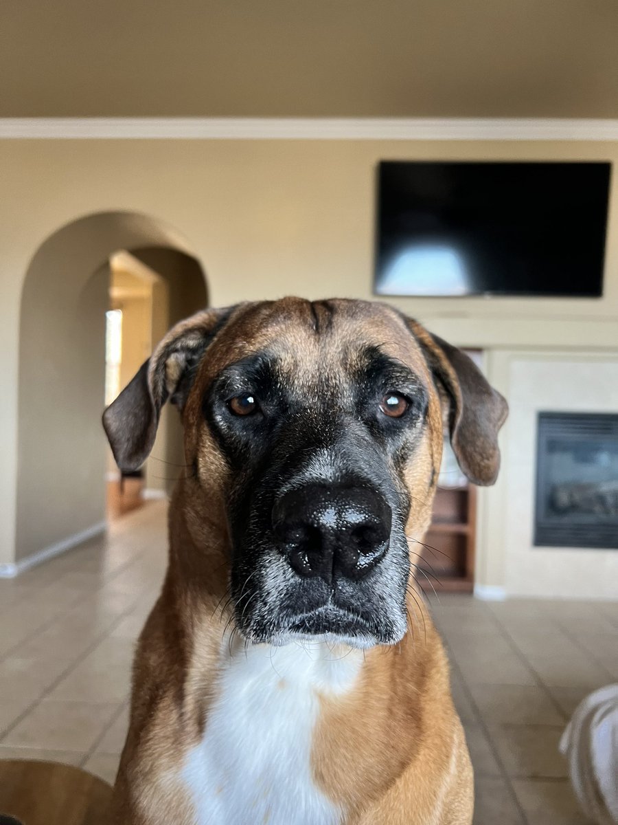 James Foster tweet media