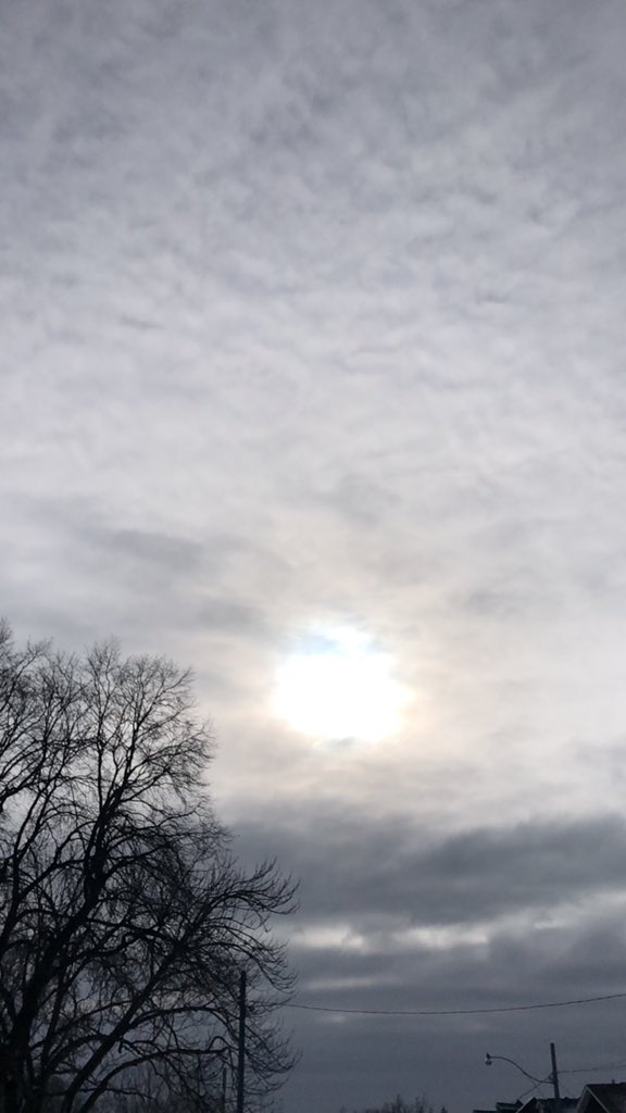 DrKateTO's tweet image. Toronto attention! There’s some sort of bright light in the sky for the first time for weeks!! #dlws #SunnySkies