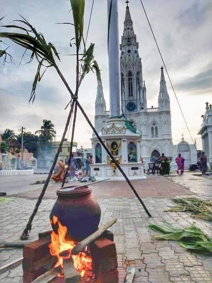 Girishbdwj's tweet photo. RiceBag Pongal! #IndiaagainstConversion https://t.co/FVOHX2z9h8