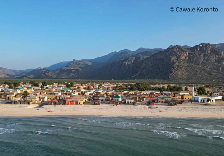 AhafidAden's tweet photo. MURCANYO:  
#MurcanyoGardafuPuntlandSomalia 

Cawaale Koronto https://t.co/bXlE0ogoBQ