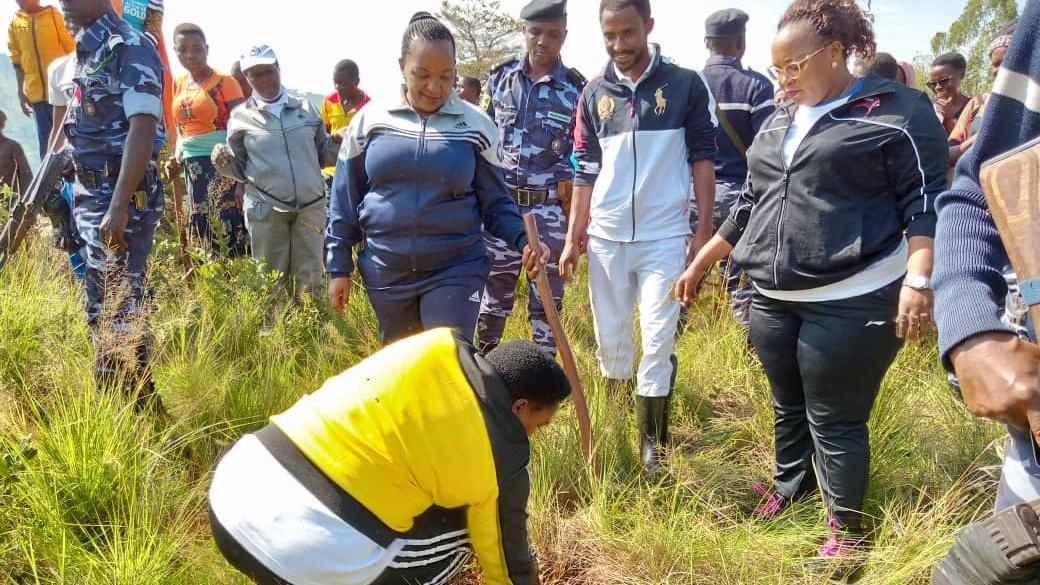 BuhumuzaProvinc's tweet photo. Dans le cadre du programme"#Ewe_Burundi_urambaye,le 1èr VP de @nshingamateka en compagnie du chef de cabinet du Gouverneur de @MuyingaProvince  se sont joints,ce 14/1 à la population de la commune #Gasorwe,sur la colline #Nyungu où plus de 2400plants de #Calitris ont été plantés https://t.co/jr84GqLZ6M