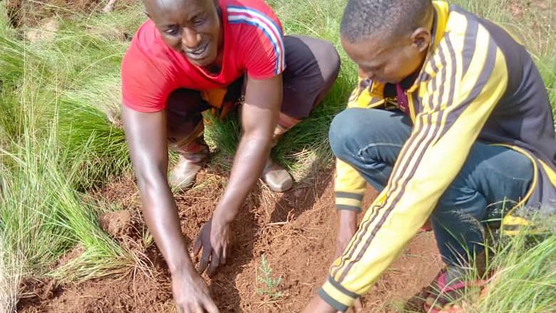 BuhumuzaProvinc's tweet photo. Dans le cadre du programme"#Ewe_Burundi_urambaye,le 1èr VP de @nshingamateka en compagnie du chef de cabinet du Gouverneur de @MuyingaProvince  se sont joints,ce 14/1 à la population de la commune #Gasorwe,sur la colline #Nyungu où plus de 2400plants de #Calitris ont été plantés https://t.co/jr84GqLZ6M