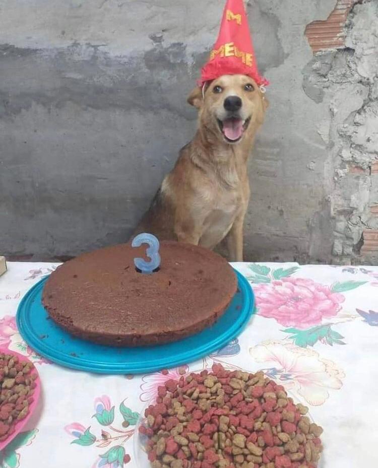 19yo 🎂
ya no tengo mira joven -_-