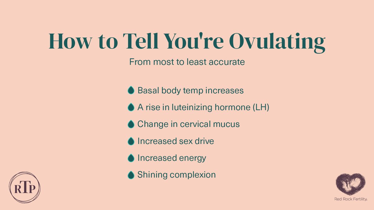 How do you know when you're ovulating? Some common signs are an increase in Basal Body Temperature, increased sex drive &amp; energy, and even a small twinge in the pelvis around the time of ovulation. 

Learn more about tracking ovulation with BBT here: bit.ly/3PO7rZR