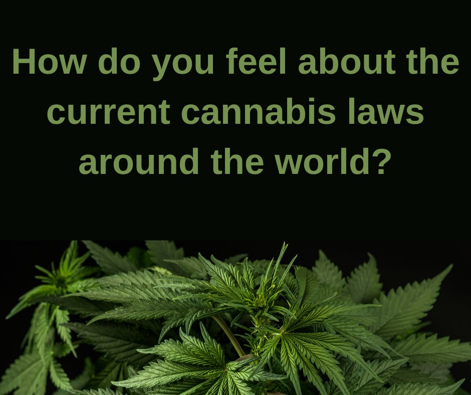 How do you feel about the current cannabis laws around the world?

 #legalization #marijuanalegalization #cannabislegalization #legalizationday #legalizationofmarijuana #weedlegalization #legalizationofcannabis #potlegalization