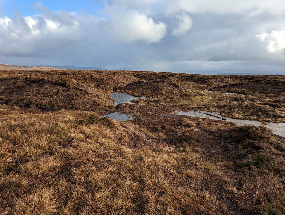 Forest of Bowland National Landscape tweet media