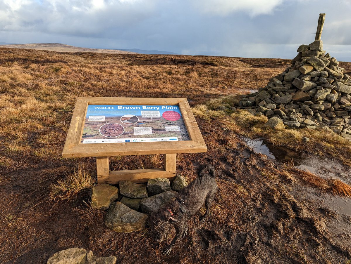 Forest of Bowland National Landscape tweet media