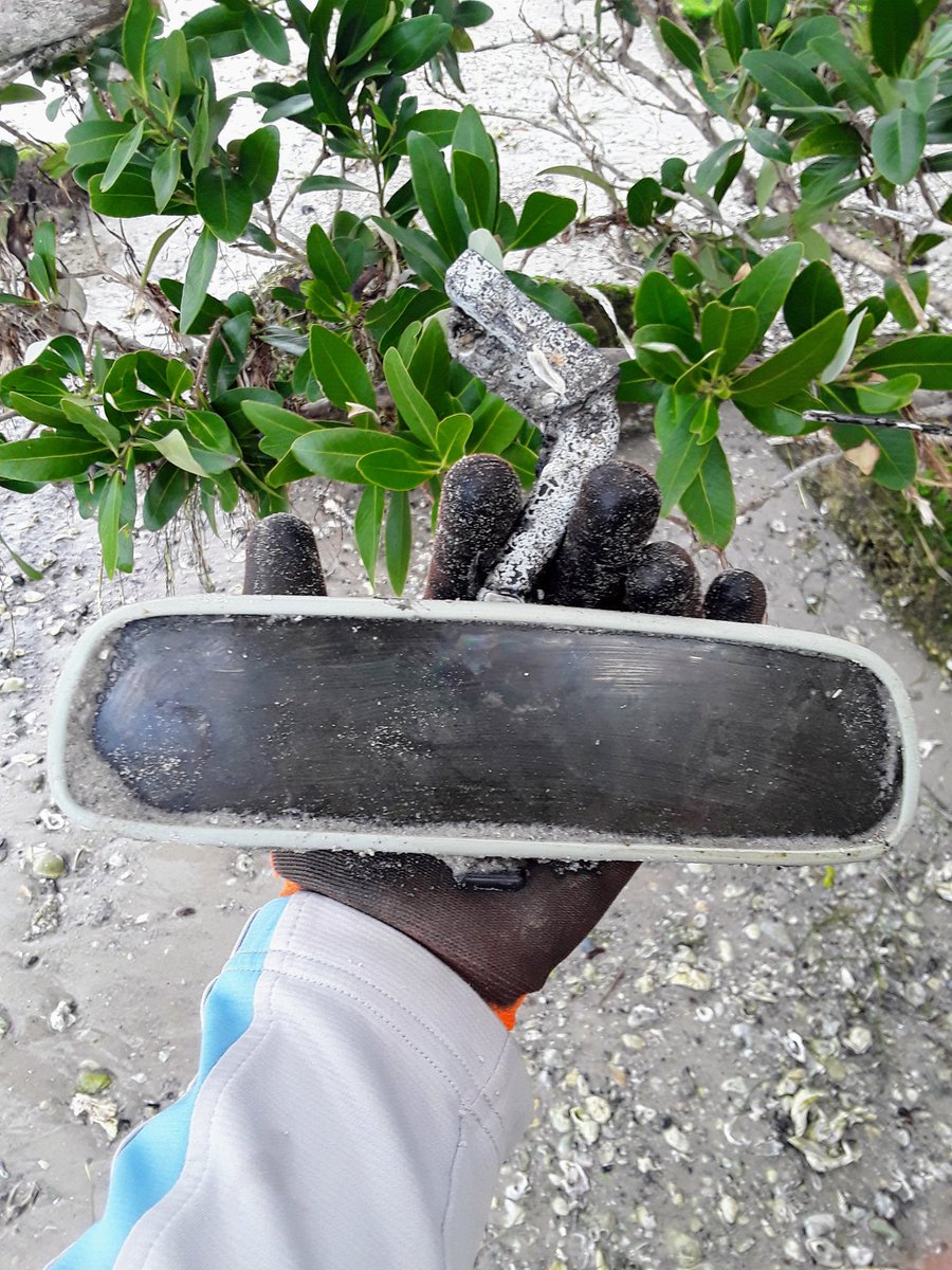 TJRPitt's tweet image. Two more #strangestfinds entries today @CornishSpliced...a pair of jumper cables and a car rearview mirror next to each other in the sand🤷‍♂️