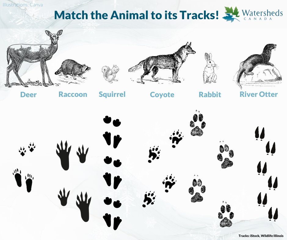 Don't let #winter weather keep you inside! Enjoy the season, get to know local species and learn a new activity with <a href="/WatershedsCAN/">Watersheds Canada</a>. Visit 
biodiversityeducation.ca/blog/10-days-o… to learn more!