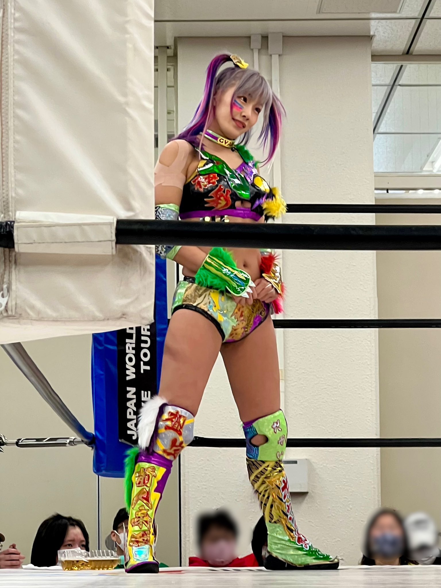 ウナギ・サヤカ🐯🦊🦖unagi sayaka on X: 