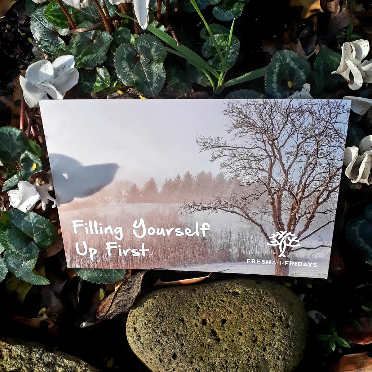 Fresh Air Fridays in Liverpool session delivered today. We explored Filling ourselves up first. What self care looks like for us. Connection is important for my self care,so is having time alone. Balance is what I need. What about you? #selfcare #mentalhealth #getoutside